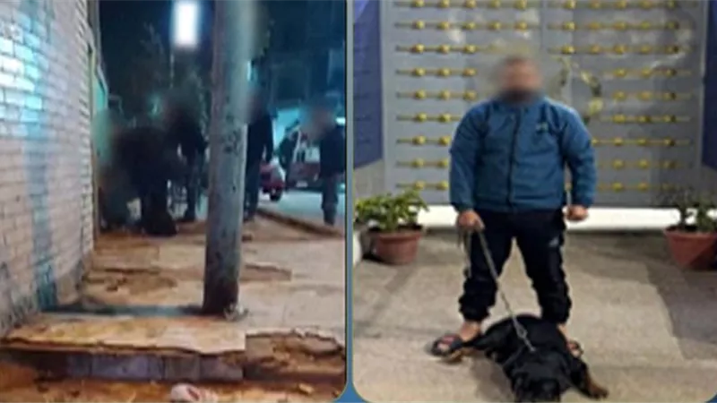 ضبط شخص حرض كلبه على مهاجمة عامل داخل محل في الشرقية
