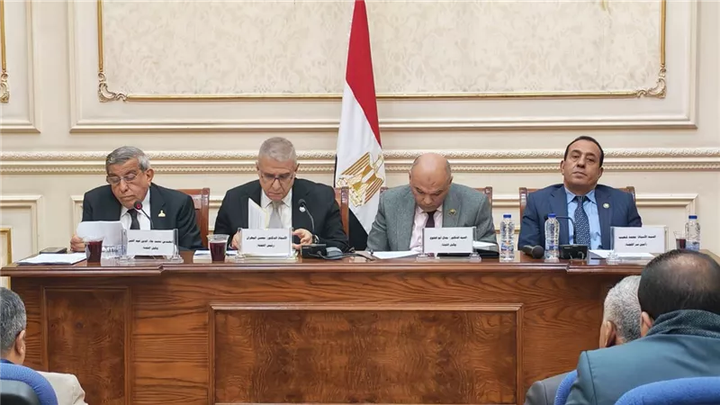 «الشيوخ» يضغط لتفعيل «حراس النيل» وتحويلها إلى استراتيجية وطنية للحفاظ على نهر النيل