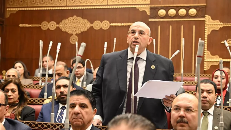 عضو بالشيوخ يطالب بالإعفاء من غرامات تأخير  الضرائب العقارية في هذه الحالة 