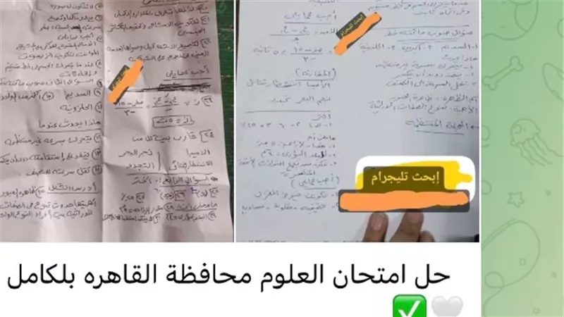 الامتحان يُسرَّب من داخل اللجنة.. تليجرام يفضح أخطر اختراق لامتحانات الإعدادية 2026
