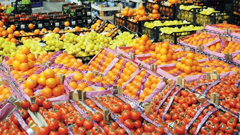 الصادرات الزراعية المصرية تكسر الحدود.. 800 ألف طن زيادة تؤكد ريادة المنتج المصري عالميًا