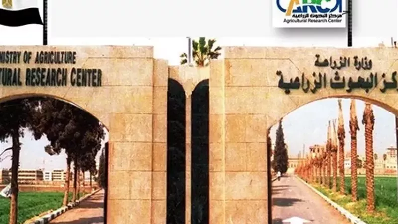 «عقول في المعامل»: كيف تقود المعاهد البحثية نهضة مصر الزراعية؟