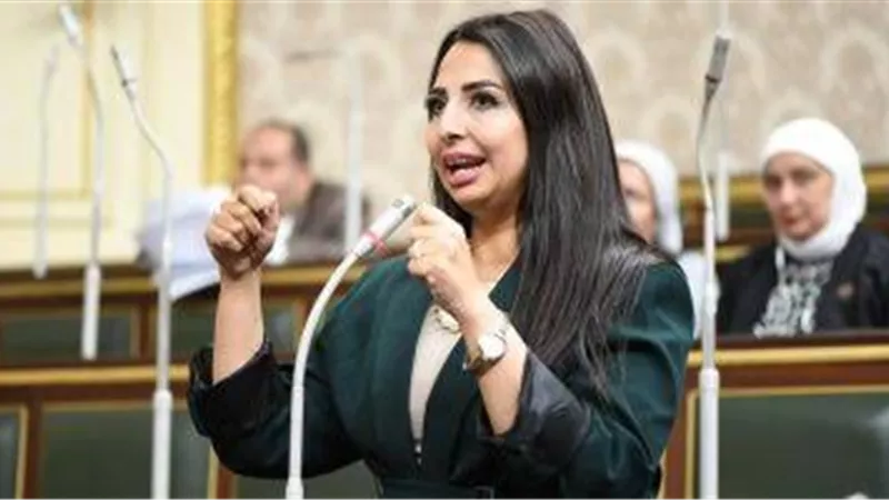 نشوى الشريف تفتح ملف «هواتف المصريين بالخارج» وتطالب بوقف إلغاء الإعفاء الجمركي
