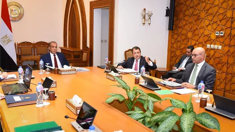 وزير الخارجية يؤكد أولوية الدائرة الإفريقية في السياسة الخارجية المصرية
