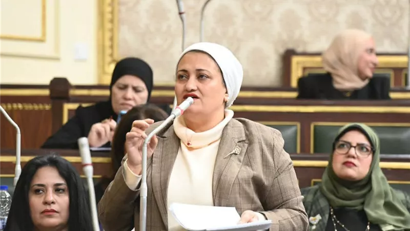 برلمانية تطرح تساؤلات حول تنفيذ قانون حقوق المسنين وتأخر اللائحة التنفيذية