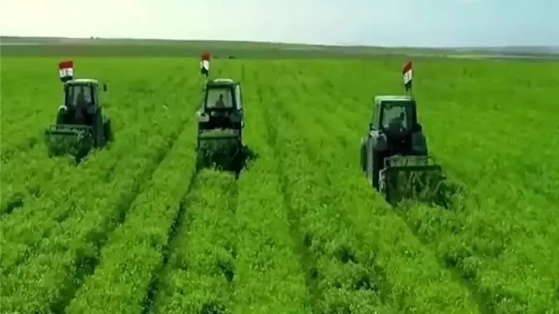 الدلتا الجديدة.. فرص الاستثمار من الاستصلاح إلى التصنيع