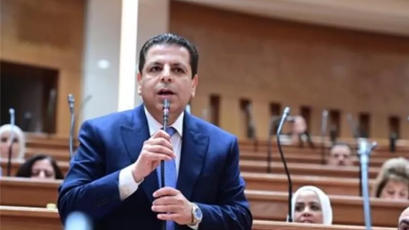 محمود سامي الإمام ممثلا للهيئة البرلمانية للحزب المصري الديمقراطي