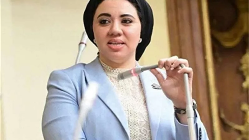 النائبة أميرة صابر تكشف «مثلث الأزمة» بين التعليم والتوظيف والبحث العلمي| خاص