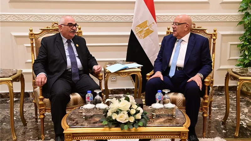 رئيس هيئة قضايا الدولة يهنئ المستشار هشام بدوي بتوليه رئاسة مجلس النواب