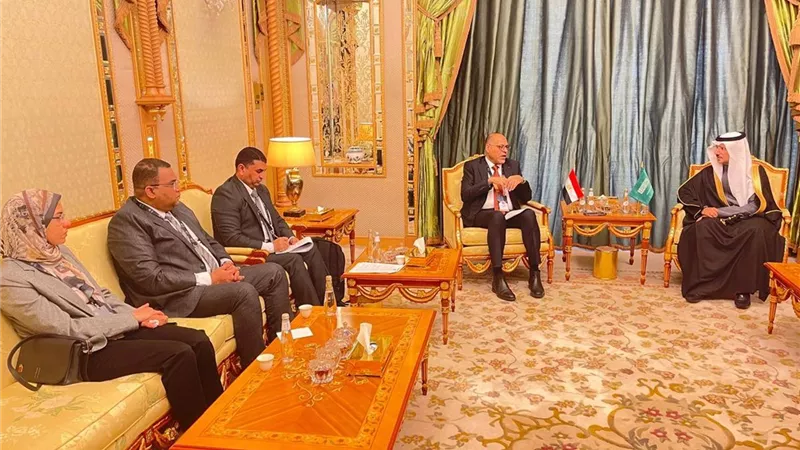 تعزيز التعاون المصري السعودي.. وزير العمل يلتقي نائب وزير الموارد البشرية السعودي