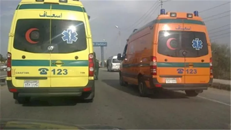 مصرع خادمة أجنبية دهستها سيارة مسرعة وفرت هاربة أمام كومبوند بالشيخ زايد