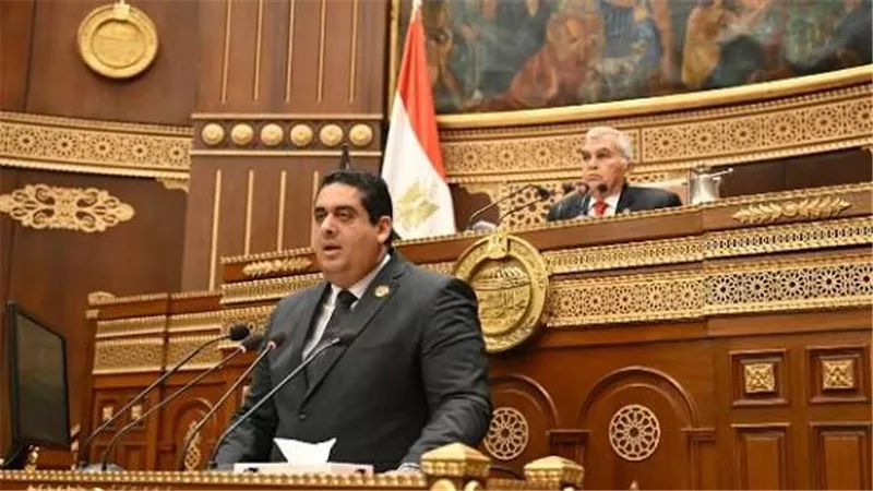 عضو بـ«الشيوخ»: ضرورة تنظيم استخدام الأطفال للهواتف المحمولة لحماية صحتهم النفسية
