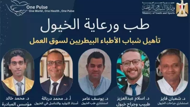 بمشاركة الدكتور يوسف عامر.. «الشباب والرياضة» تنفذ برنامجا متخصصًا في طب ورعاية الخيول