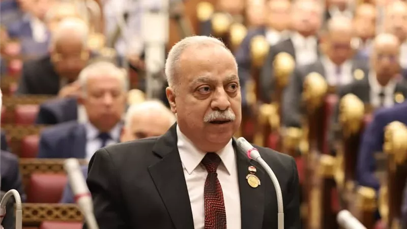 «أنا نائب وبستعين بأولادي».. حسني سبالة يكشف تحديات تطبيق الإعلان الرقمي للقضايا