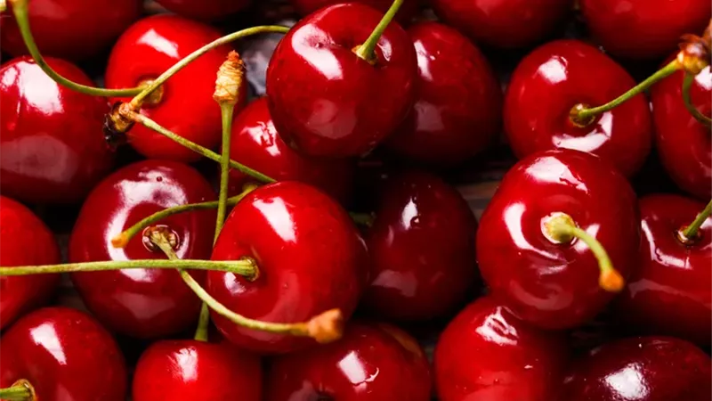 فاكهة صغيرة بمفعول كبير.. الكرز يحارب الالتهاب والأرق وآلام العضلات