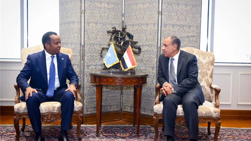 وزير الخارجية: ندعم الجهود الدولية الرامية لتحقيق الأمن والتنمية بالصومال