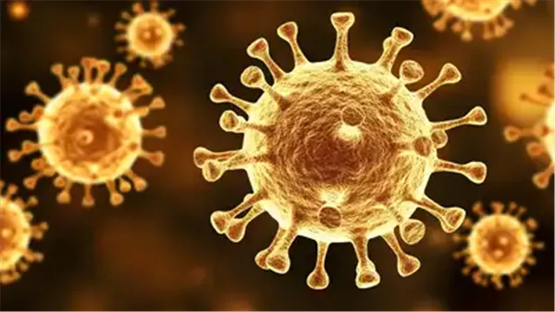 إنفلونزا D وكورونا الكلاب.. العلماء يرفعون مستوى التحذير العالمي