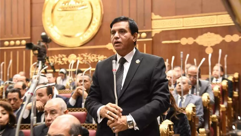 أمين «حماة الوطن»: مصر وتركيا في خط واحد لتحقيق الاستقرار ودفع عجلة التعاون الاقتصادي