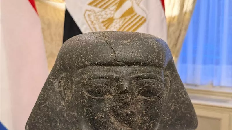 مصر وهولندا تتعاونان لاسترداد رأس حجري نادر من عصر تحتمس الثالث