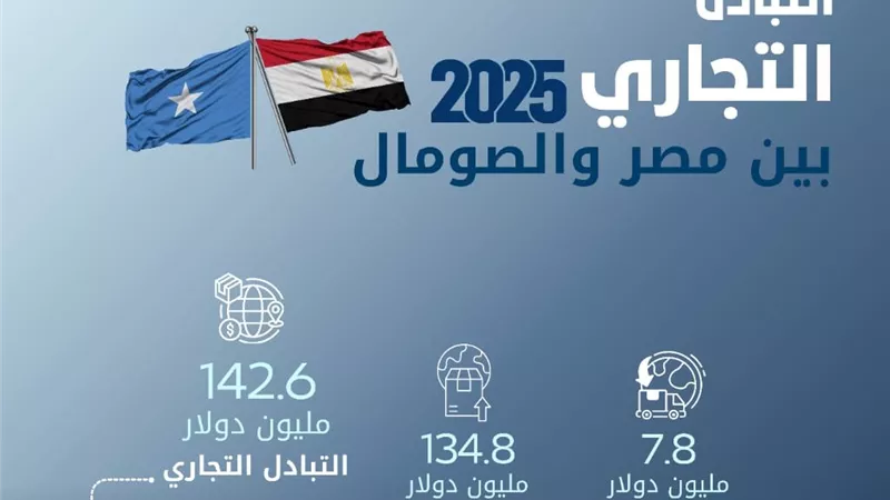 مصر والصومال.. زيادة حجم التجارة ونمو ملحوظ في صادرات المنتجات الغذائية والطبية