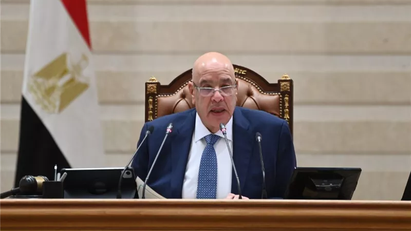 بعد إقرار قانون مستقبل مصر.. رسائل حاسمة من هشام بدوي تحت قبة البرلمان