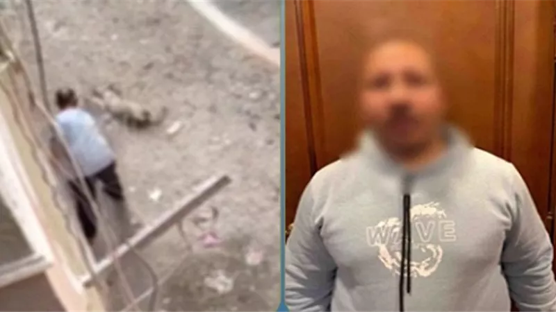 ضبط شخص لتعديه على كلب بالعصا حتى نفوقه في المعادى