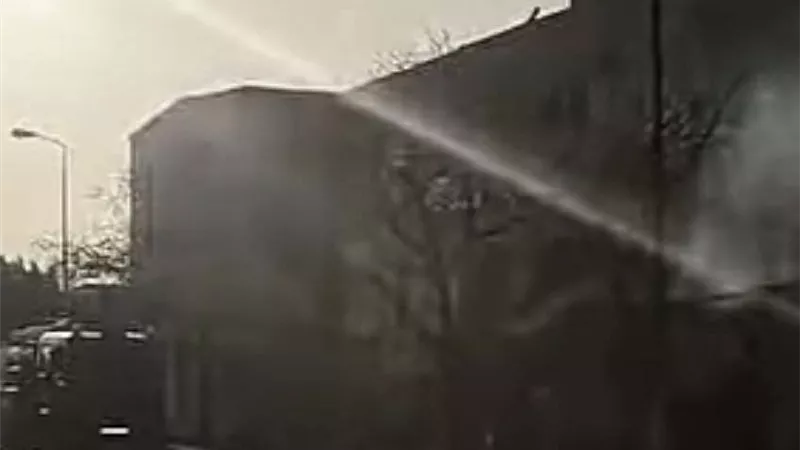 ضبط سائق «تريلا» بعد حادث انقلاب أودى بحياة شخصين في الإسكندرية