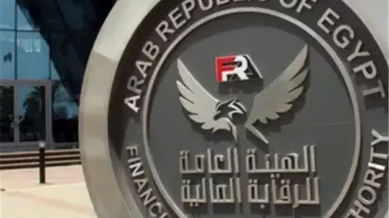 الرقابة المالية تُلزم الشركات المالية غير المصرفية بالتأمين المهني