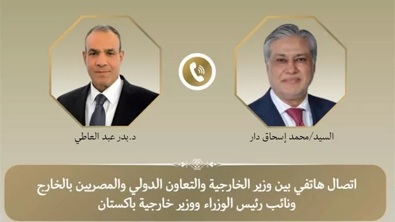 التطورات الإقليمية وأوضاع غزة.. تفاصيل لقاء وزيرا الخارجية المصري والباكستاني