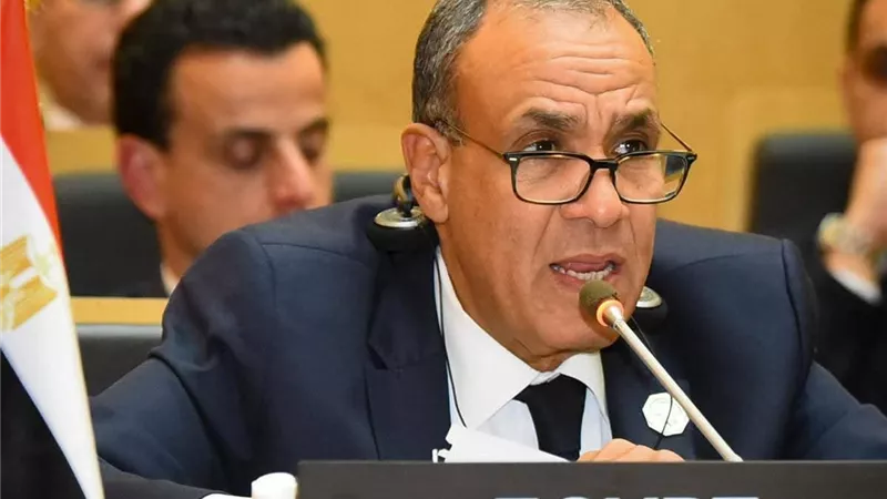 في خطاب تاريخي.. وزير الخارجية يناقش دور الاتحاد الإفريقي في مجموعة العشرين
