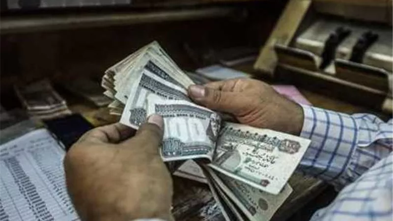 بشرى للعمالة غير المنتظمة.. تفاصيل منحة المولد النبوي 2026 وموعد صرفها
