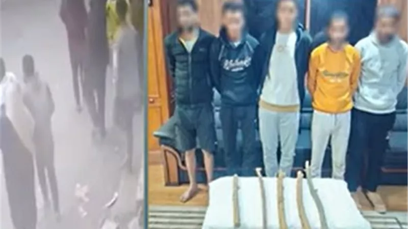 مشاجرة الخشب.. القبض على المتهمين بترويع المواطنين بالبحيرة 