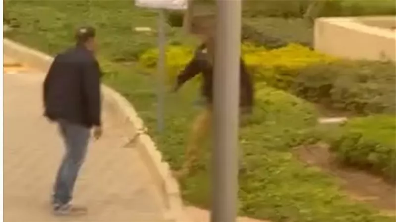 قرار من النيابة في واقعة الاعتداء على فرد أمن بالتجمع الخامس 