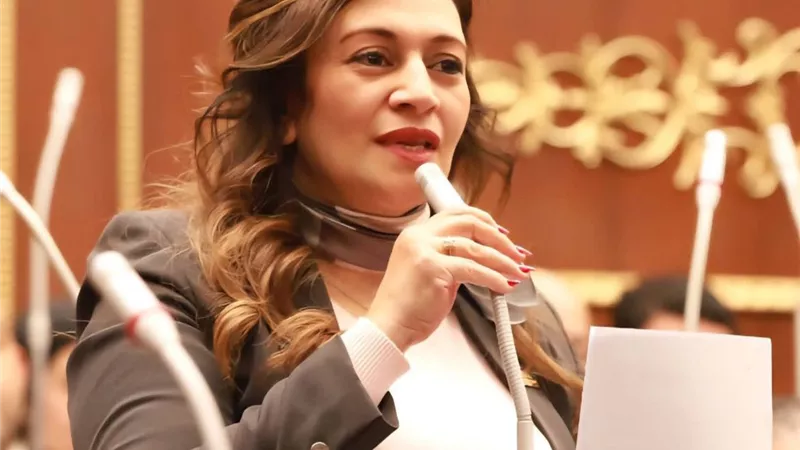 برلمانية: دراسة لتعديل المادة 60 من قانون العقوبات لتحسين حماية الأسرة