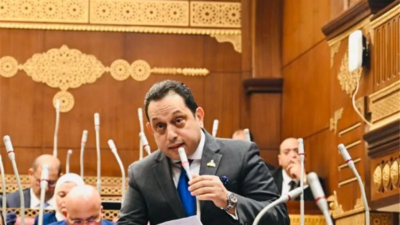 النائب محمد الجندي يطالب بتشديد الرقابة على سلاسل الإمداد لضبط الأسعار