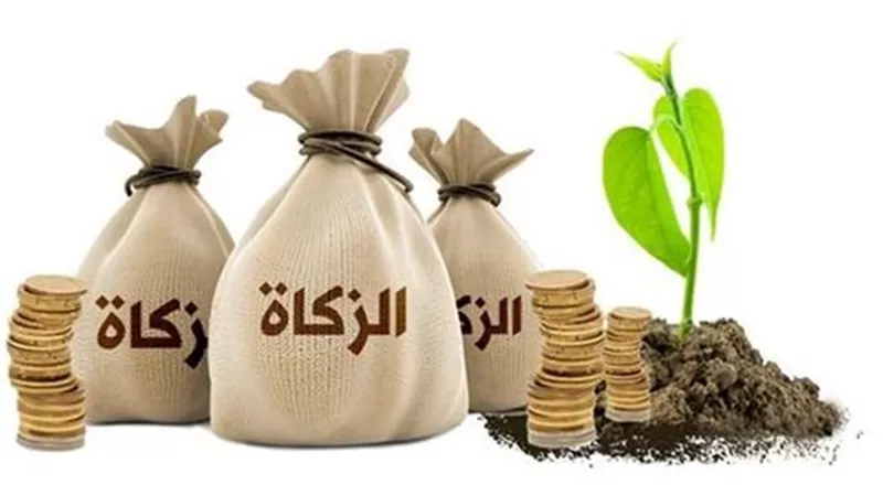 زكاة الفطر 2026.. الأزهر يحسم الجدل حول الموعد والقيمة وحكم إخراجها نقدًا