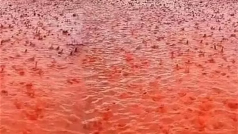 أمطار دموية تضرب بريطانيا.. غبار صحراوي يحوّل السماء والمطر إلى الأحمر