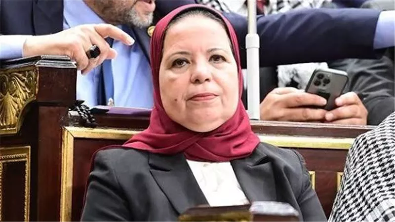 البرلمان يدعم الإطار القانوني للجامعة العربية.. أمل عصفور: مصر بيت العرب وحاضنة العمل المشترك