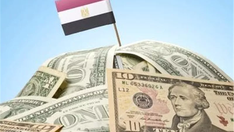 تقرير دولي: ديون مصر ترتفع إلى 316.5 مليار دولار بنهاية 2025