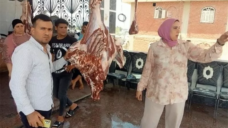 ضبط 33 جزارًا في حملة تموينية مكبرة بالبحيرة