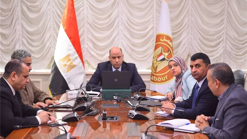 وزير العمل يوجه مكاتب التمثيل العمالي بمتابعة فورية لأحوال المصريين في الخارج