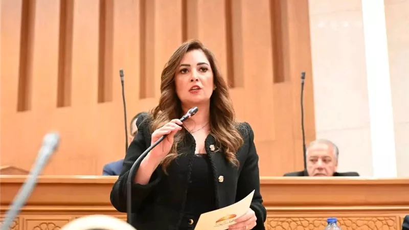 البرلمان يبحث مقترح النائبة أميرة العادلي لتعديل مادة بقانون الضريبة على العقارات المبنية