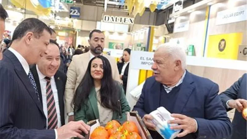 غزو برلين.. استراتيجية 
