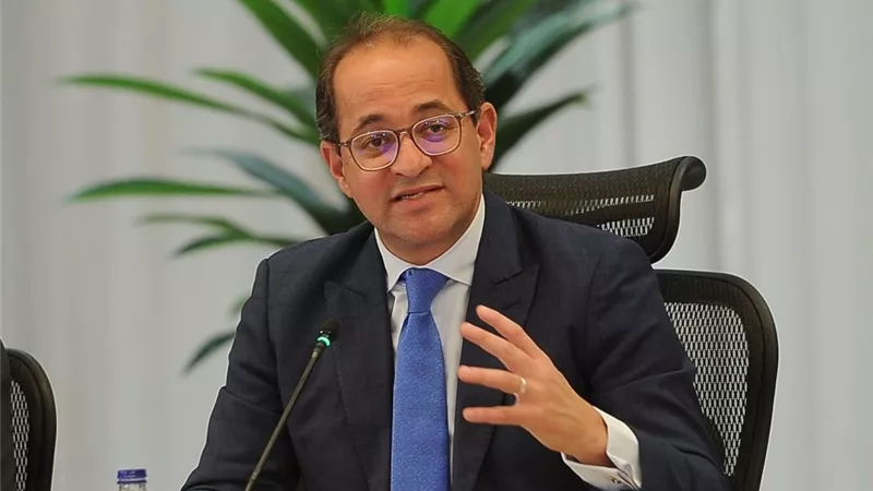 المالية: توطين صناعة السيارات يتصدر الأولويات الاقتصادية للحكومة