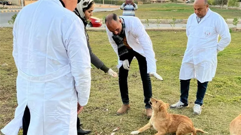 بيطري المنيا يواصل تنفيذ الحملة القومية لمكافحة السعار