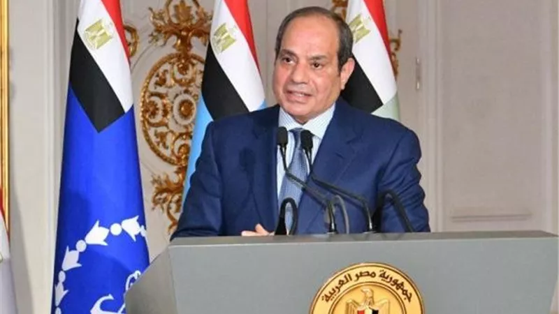 الرئيس السيسي يوجه بدراسة إمكانية إحالة المتلاعبين بالأسعار إلى القضاء العسكري
