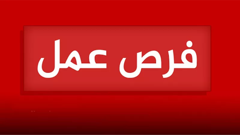 فرص عمل جديدة بالعين السخنة.. رواتب تصل إلى 8300 جنيه