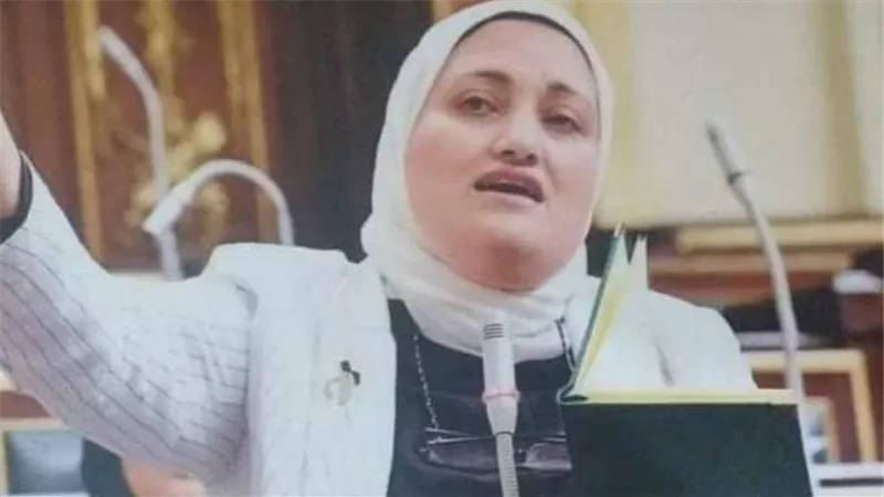 بسبب حرب إيران.. برلمانية تتساءل عن حقيقية زيادة أسعار رحلات العودة إلى مصر 