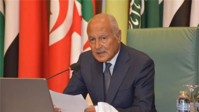 أبو الغيط: العرب يقفون صفاً واحداً ضد أي انتهاك للسيادة الوطنية