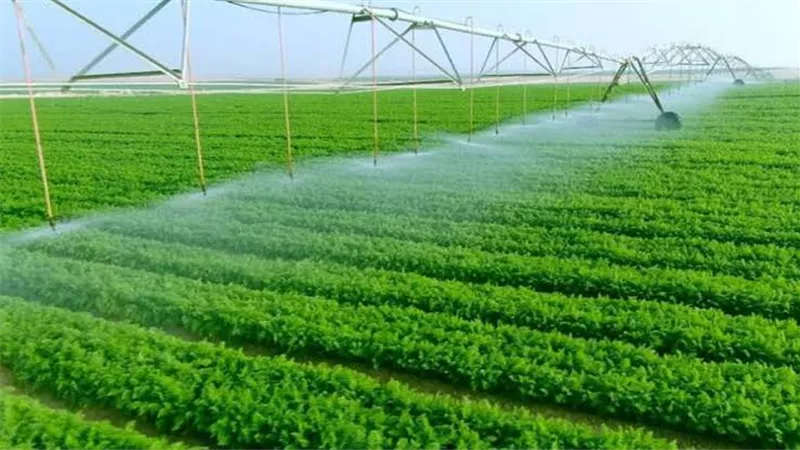 مصر تتبنى سياسة الزراعة المستدامة.. خفض المبيدات بنسبة 50% بحلول 2030